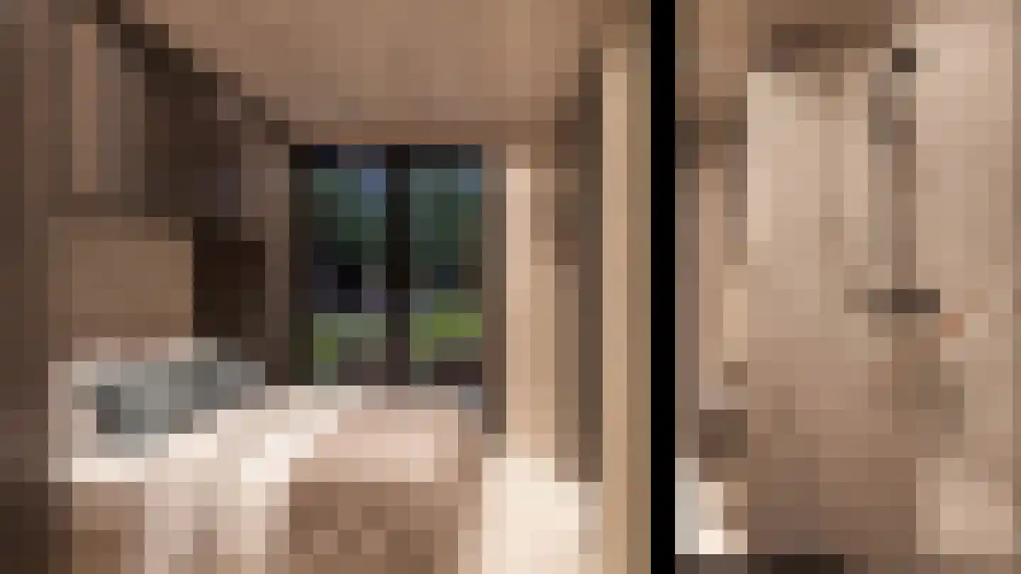 Rijnbandijk 10 b Eck en Wiel thumbnail 9