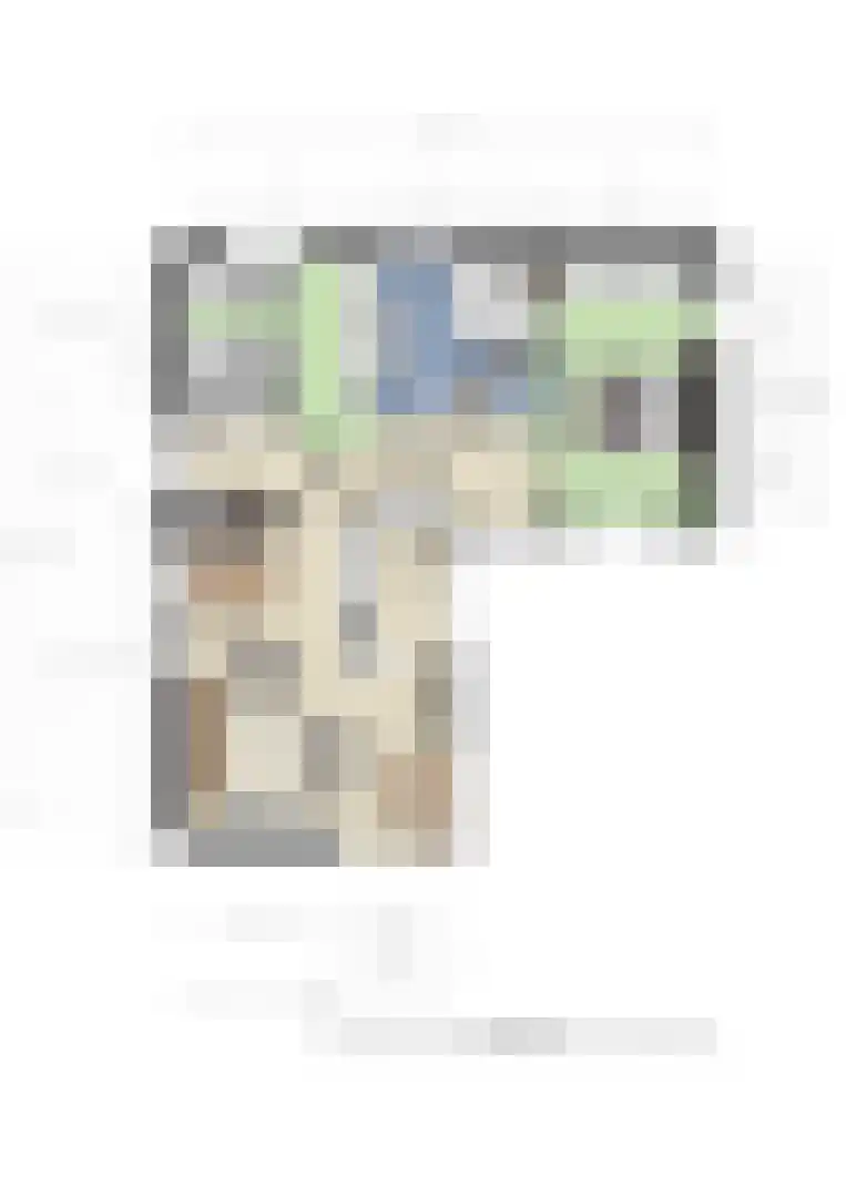 Rijnbandijk 111 111 Maurik thumbnail 102