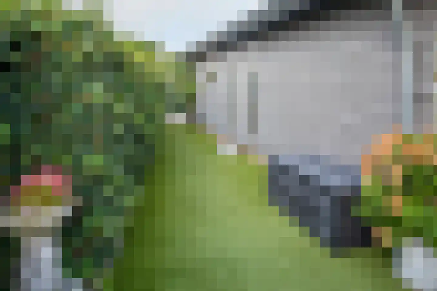 Rijnbandijk 111 111 Maurik thumbnail 35