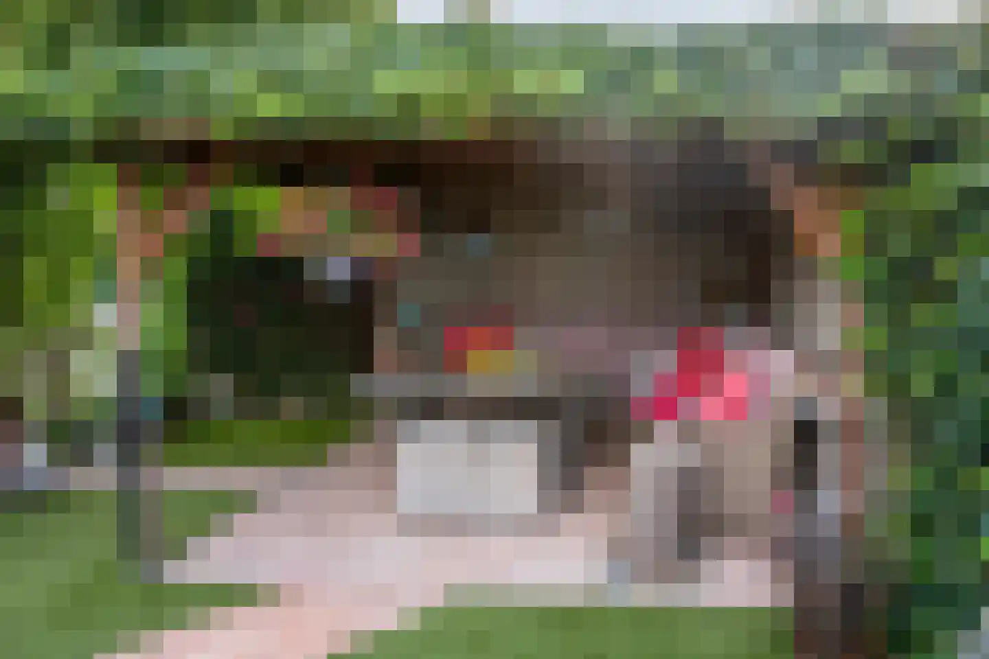 Rijnbandijk 111 111 Maurik thumbnail 36