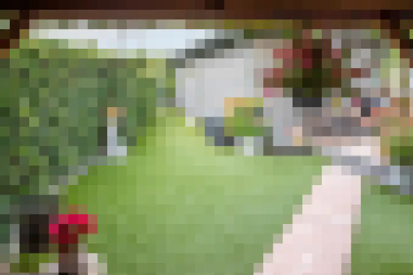 Rijnbandijk 111 111 Maurik thumbnail 39