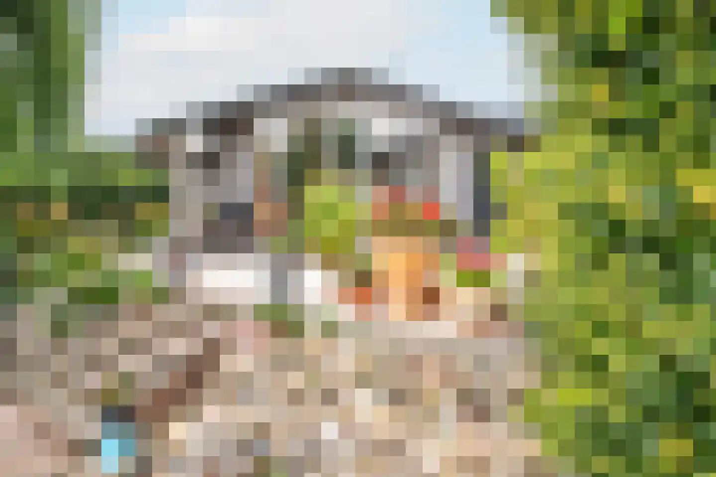 Rijnbandijk 111 111 Maurik thumbnail 46