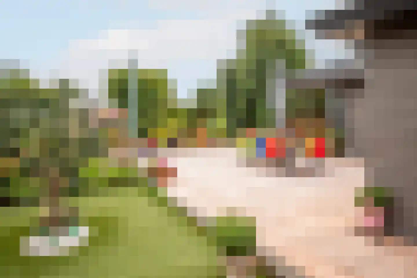 Rijnbandijk 111 111 Maurik thumbnail 55