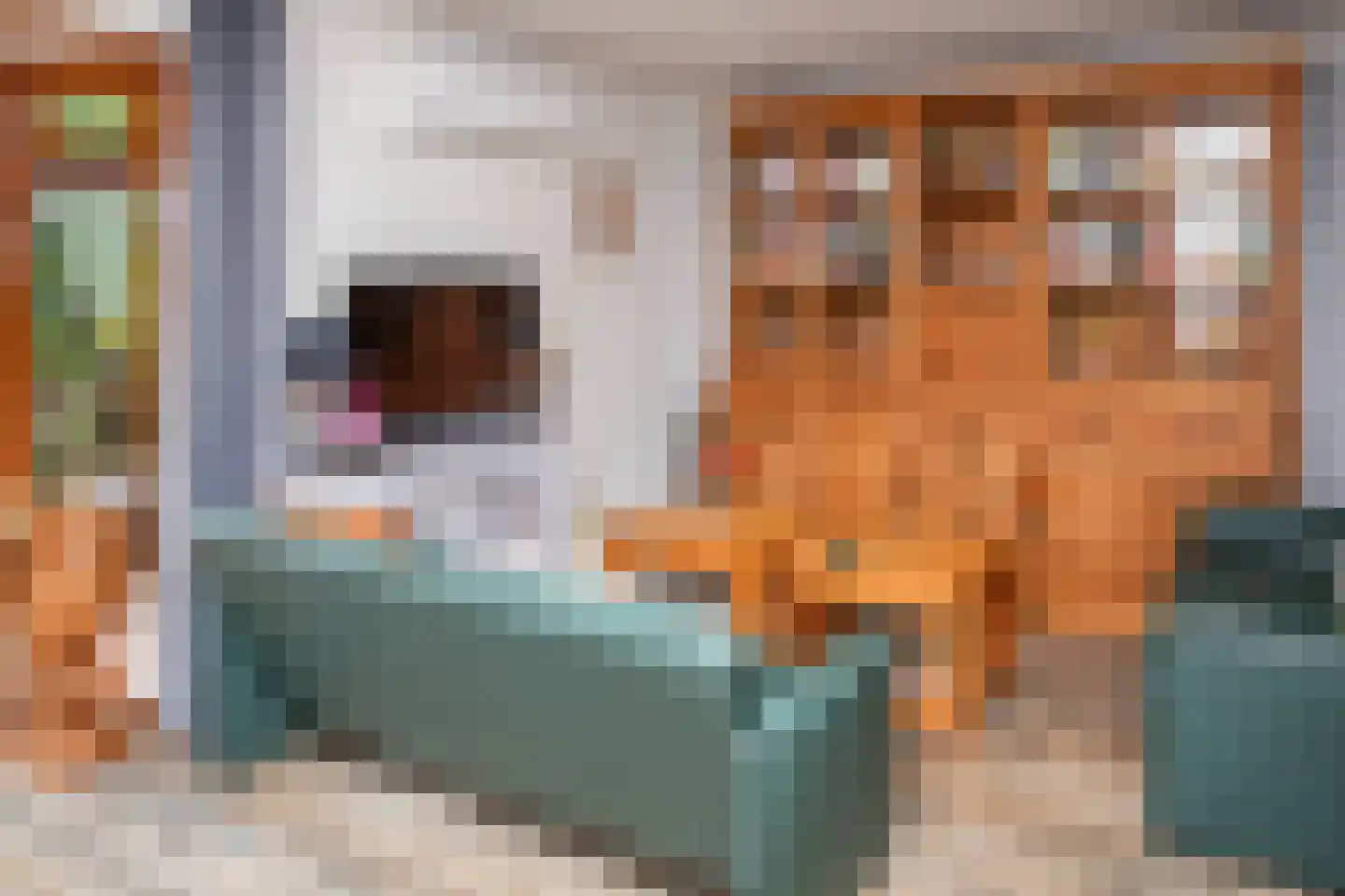 Rijnbandijk 111 111 Maurik thumbnail 61