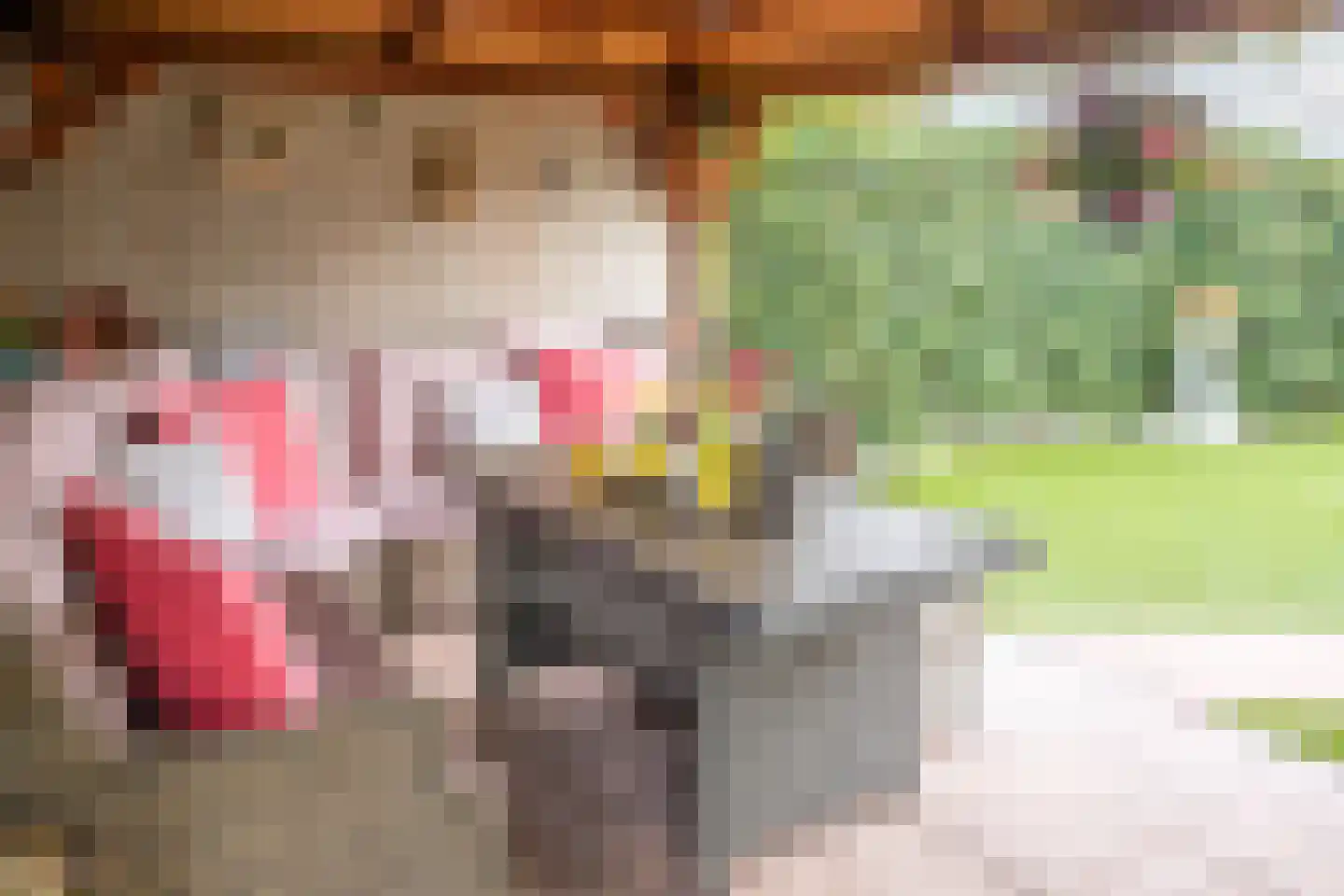 Rijnbandijk 111 111 Maurik thumbnail 83