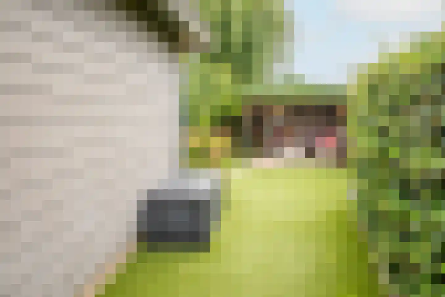 Rijnbandijk 111 111 Maurik thumbnail 85