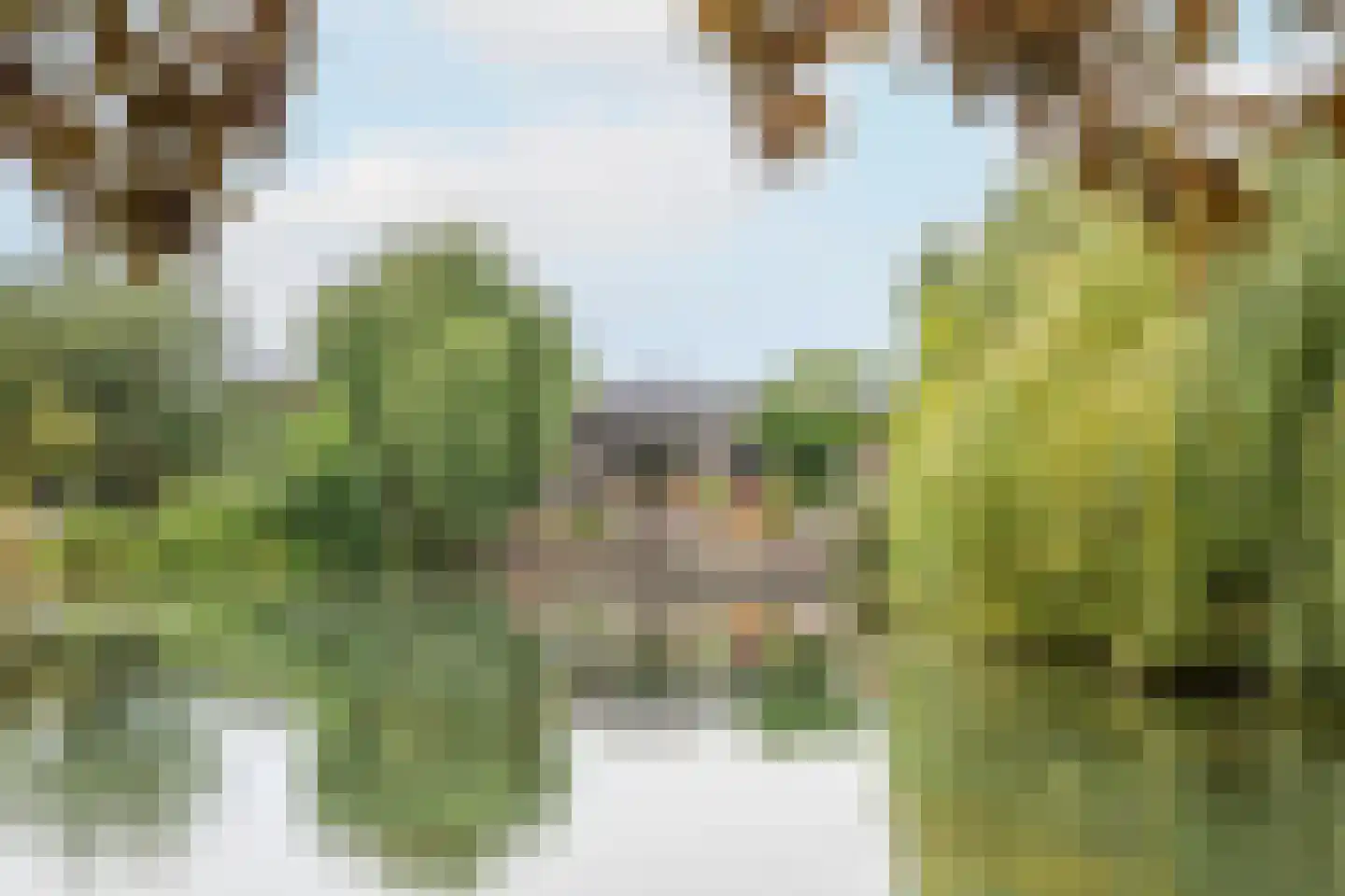 Rijnbandijk 111 111 Maurik thumbnail 89