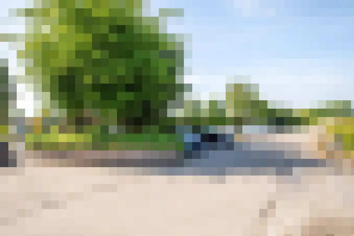 Rijnbandijk 111 111 Maurik thumbnail 96