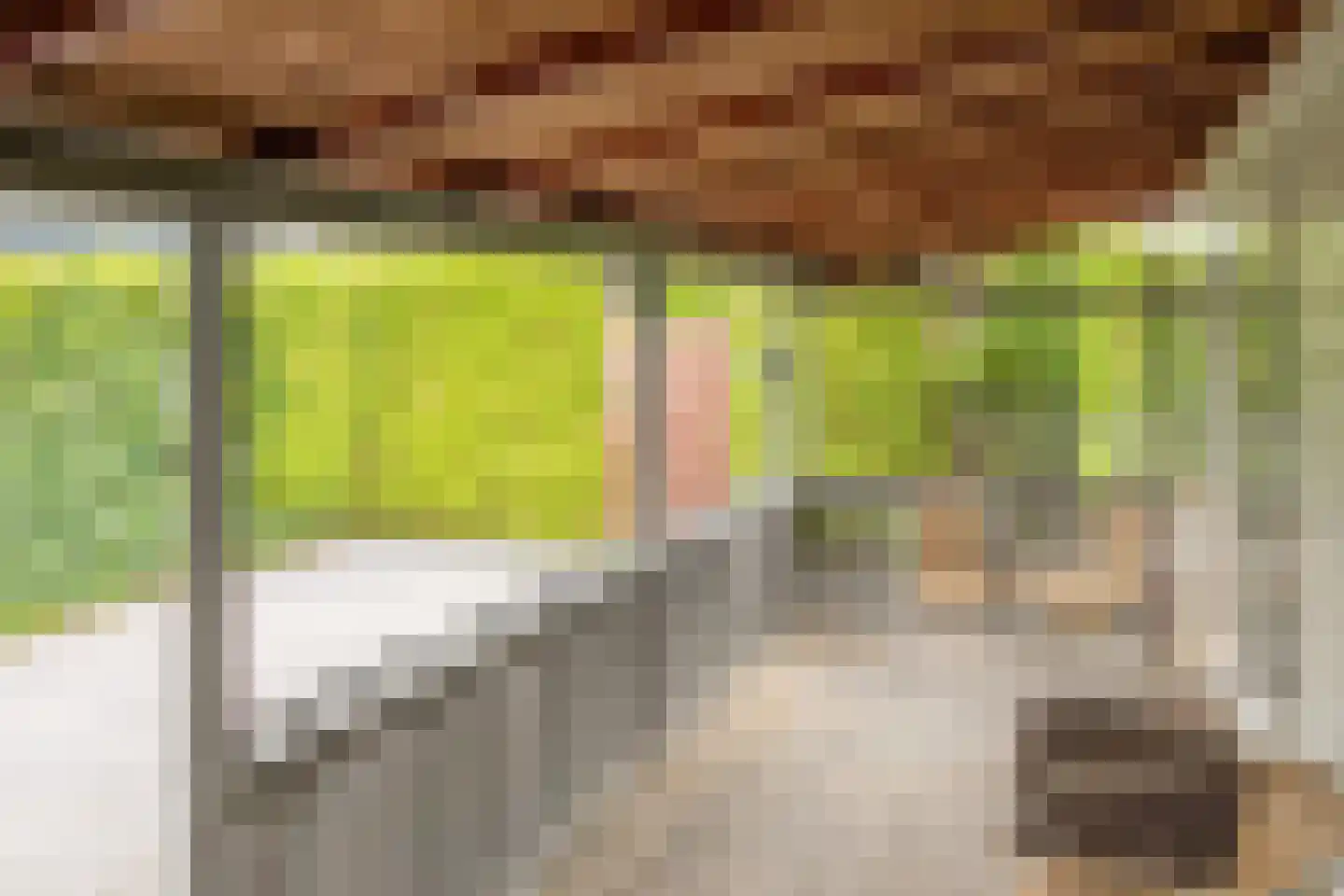 Rijnbandijk 111 44 Maurik thumbnail 10