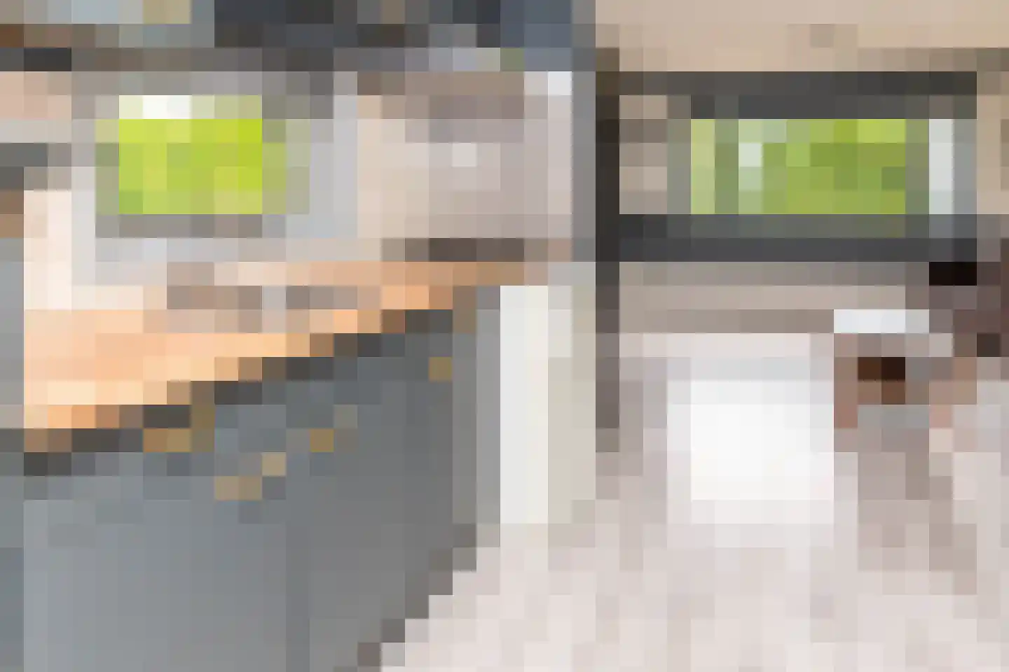 Rijnbandijk 111 44 Maurik thumbnail 12