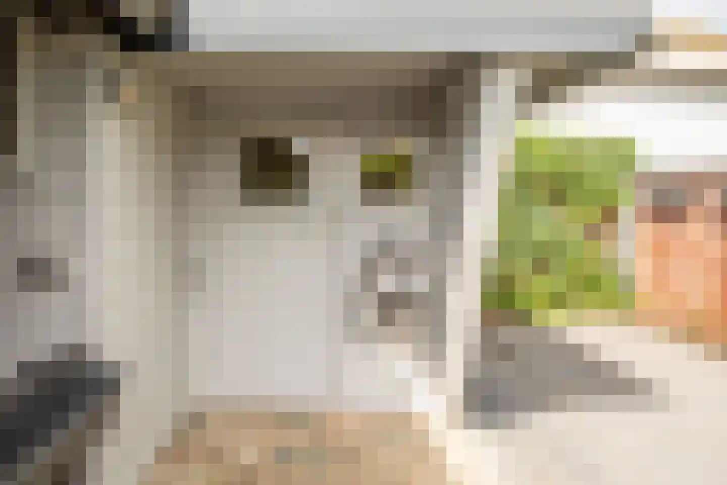 Rijnbandijk 111 44 Maurik thumbnail 27
