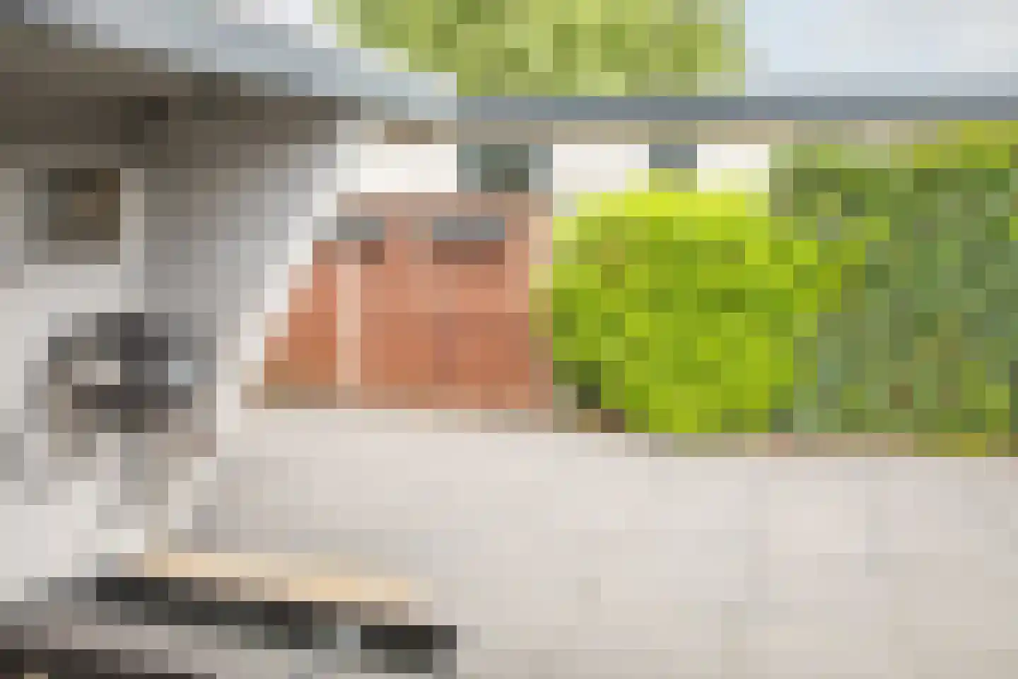 Rijnbandijk 111 44 Maurik thumbnail 30