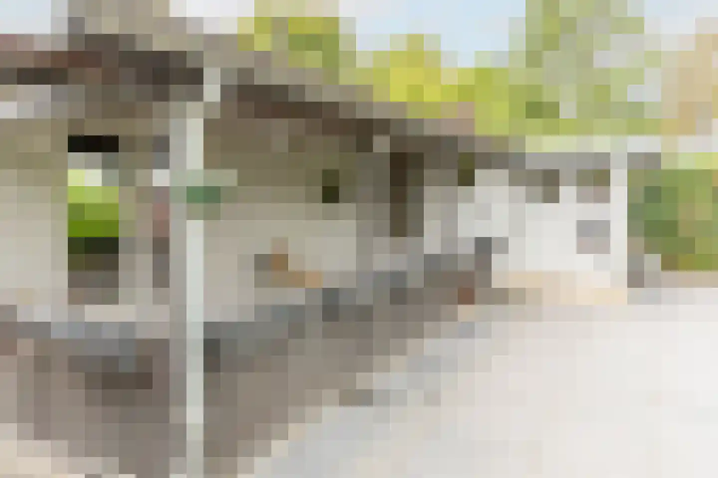 Rijnbandijk 111 44 Maurik thumbnail 34