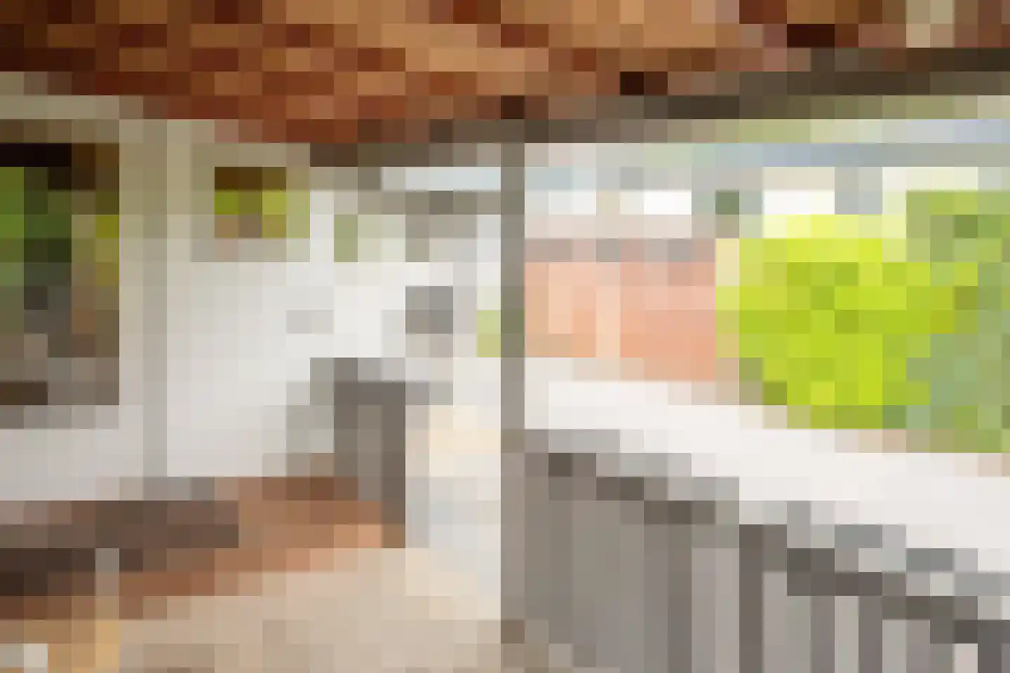 Rijnbandijk 111 44 Maurik thumbnail 40