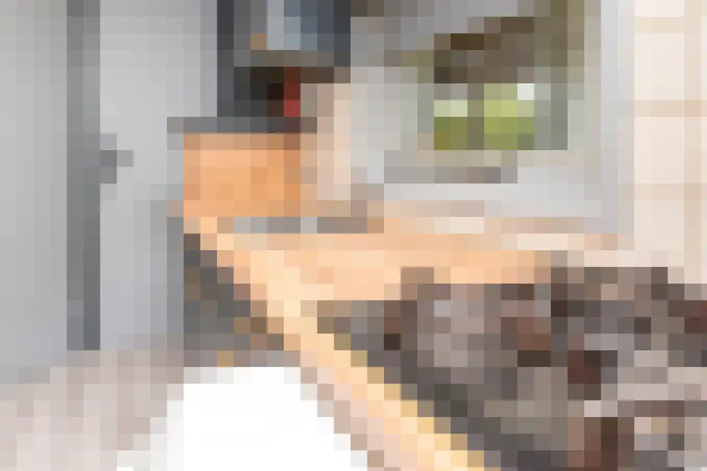 Rijnbandijk 111 44 Maurik thumbnail 46