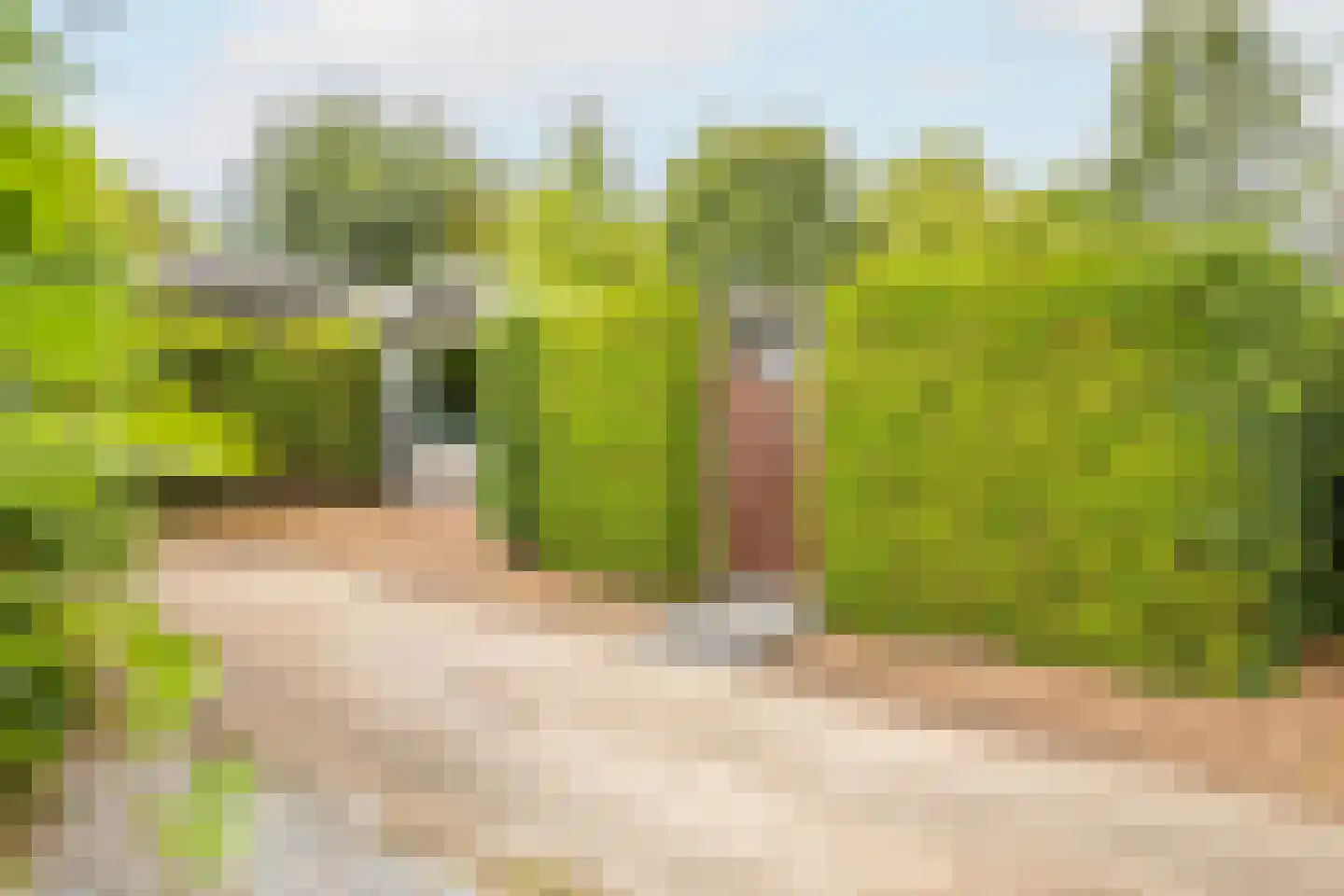 Rijnbandijk 111 44 Maurik thumbnail 5