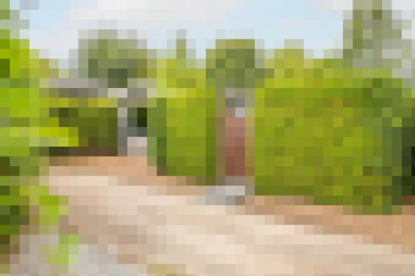Rijnbandijk 111 44 Maurik thumbnail 5