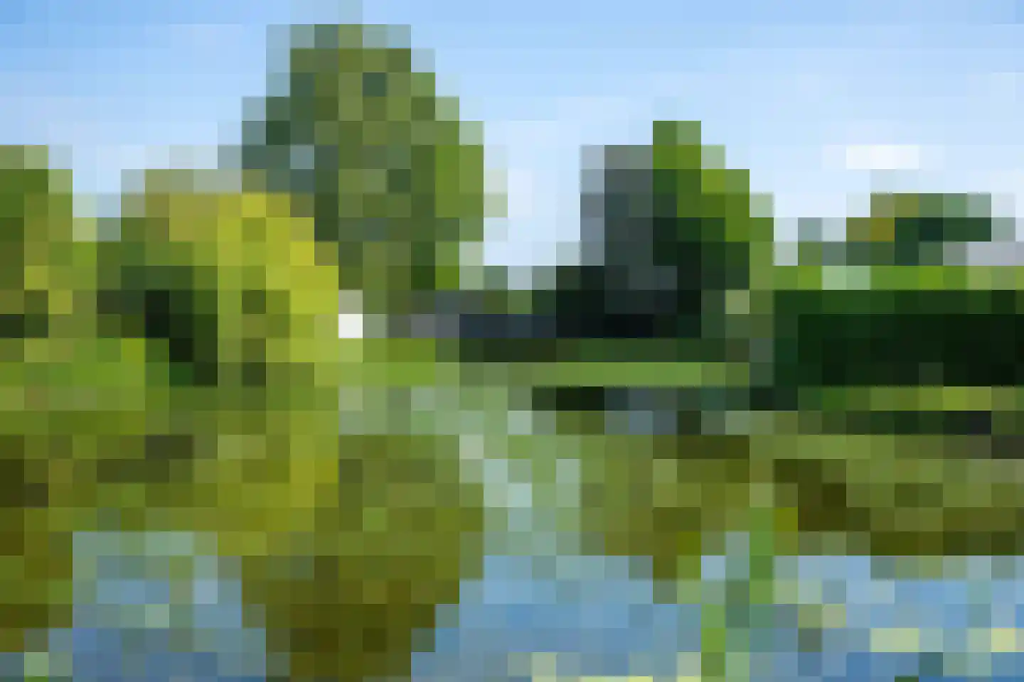 Rijnbandijk 111 44 Maurik thumbnail 67