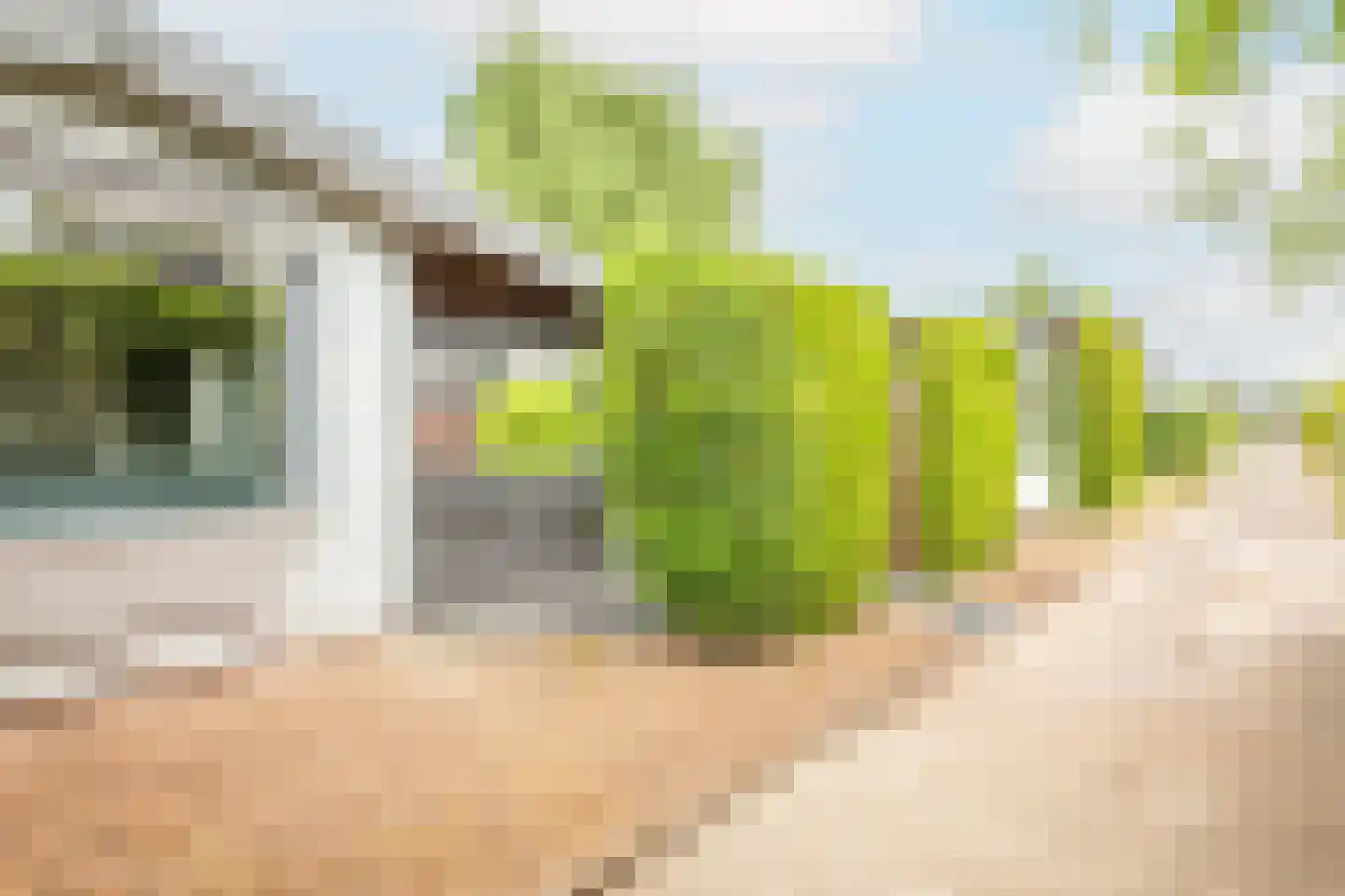 Rijnbandijk 111 44 Maurik thumbnail 7