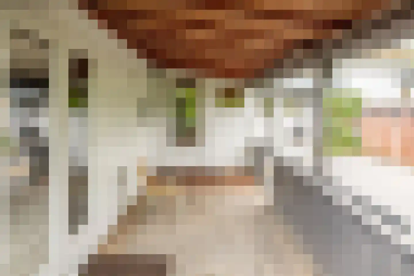 Rijnbandijk 111 44 Maurik thumbnail 9