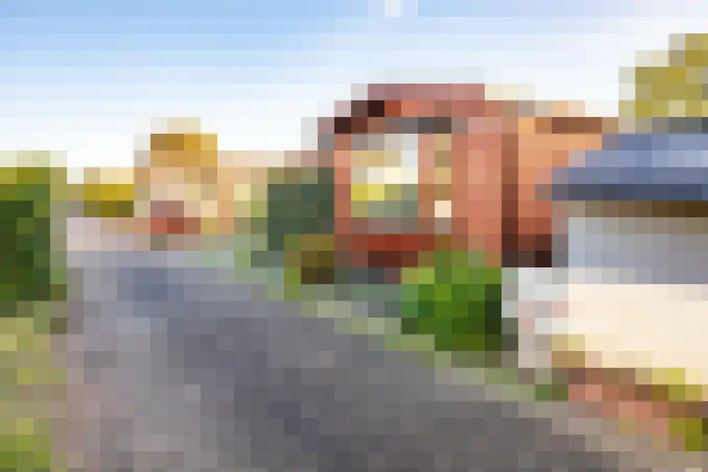 Rijnbandijk 111 47 Maurik thumbnail 30