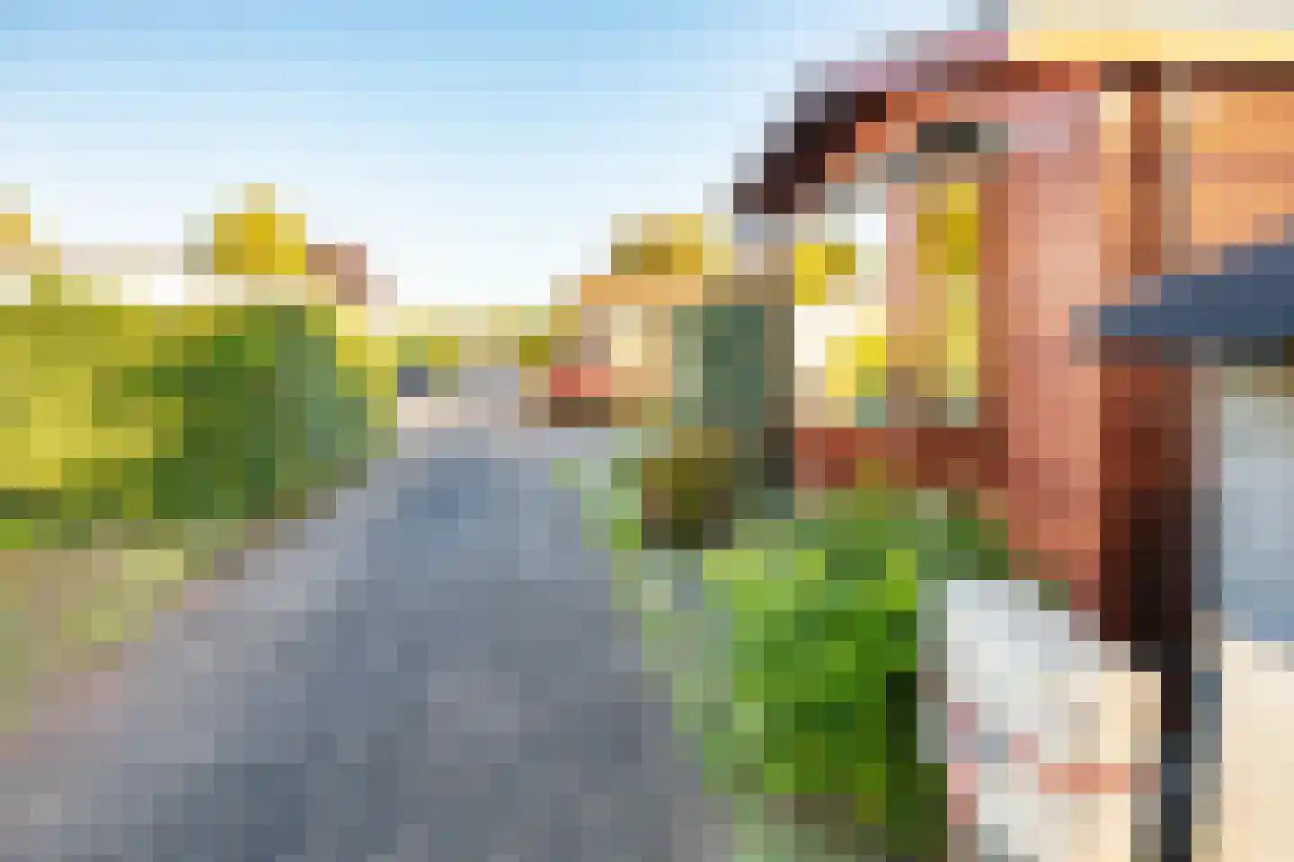 Rijnbandijk 111 47 Maurik thumbnail 31