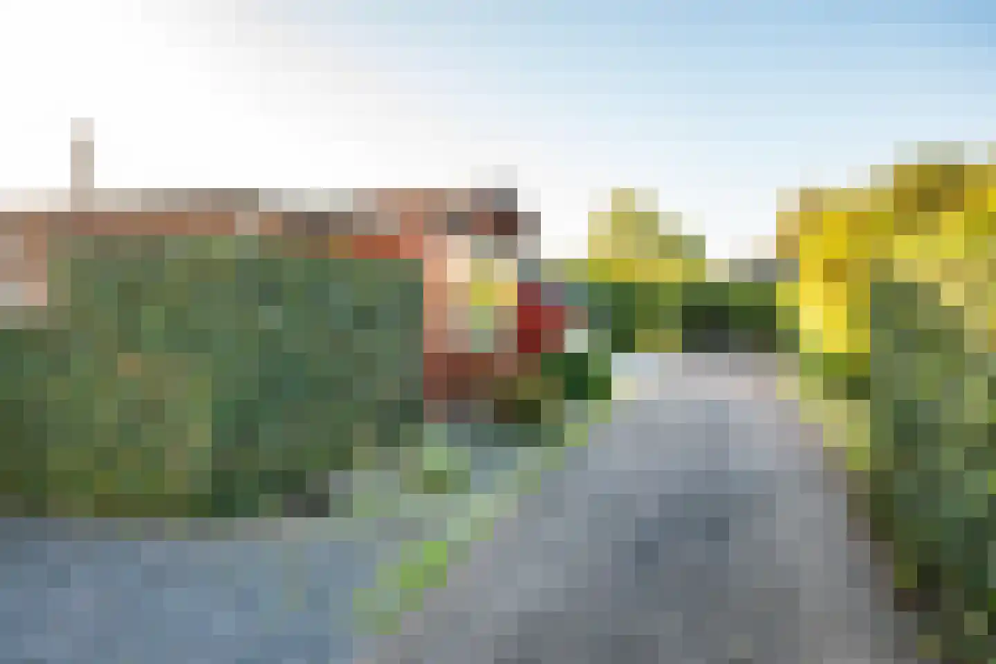 Rijnbandijk 111 47 Maurik thumbnail 33