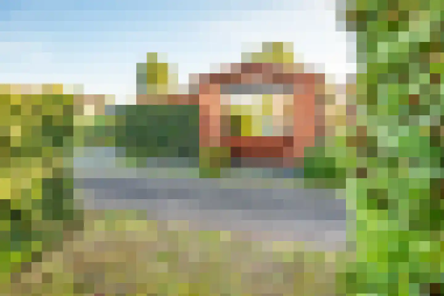 Rijnbandijk 111 47 Maurik thumbnail 35