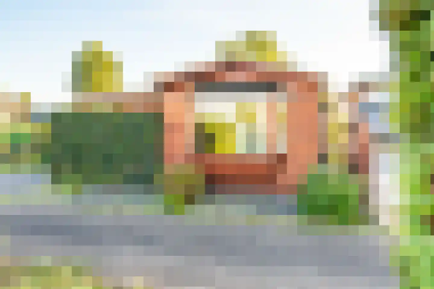 Rijnbandijk 111 47 Maurik thumbnail 6