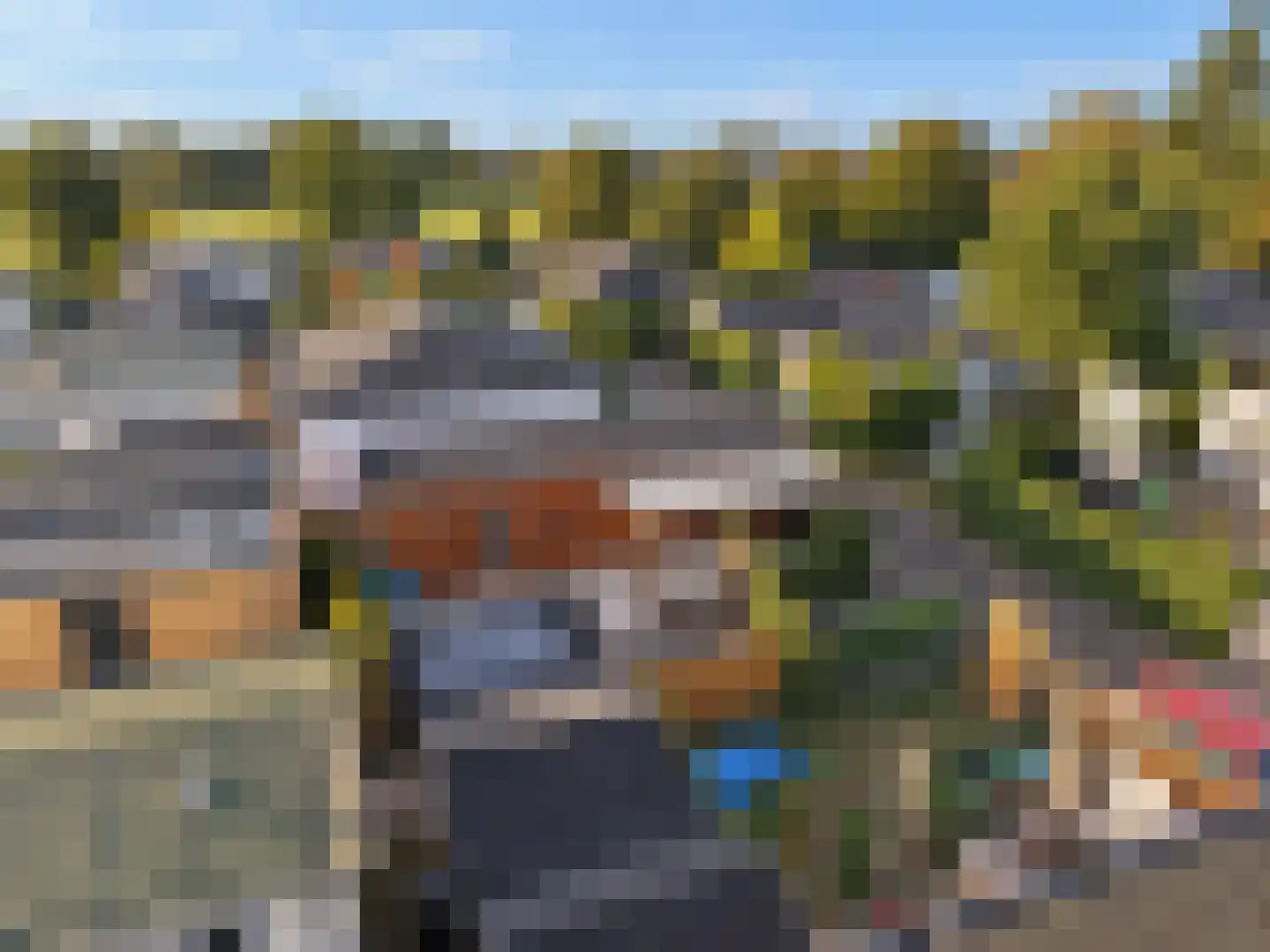 Rijnbandijk 111 47 Maurik thumbnail 7