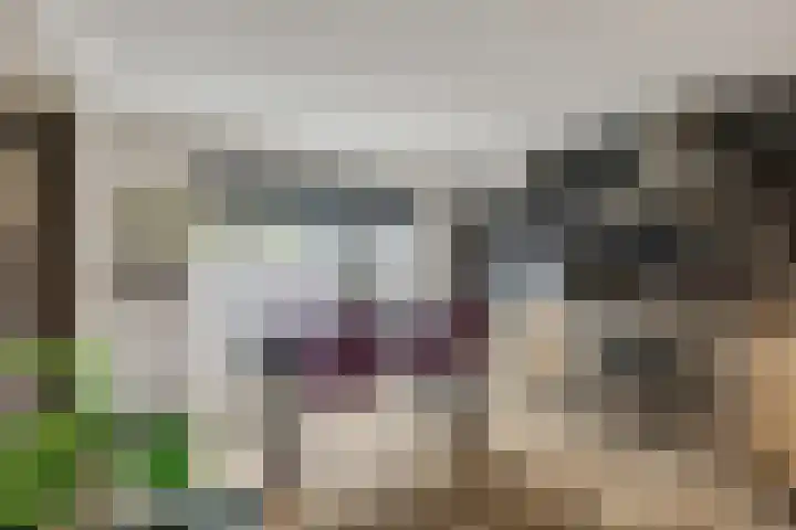 Rijnbandijk 111 51 Maurik thumbnail 10