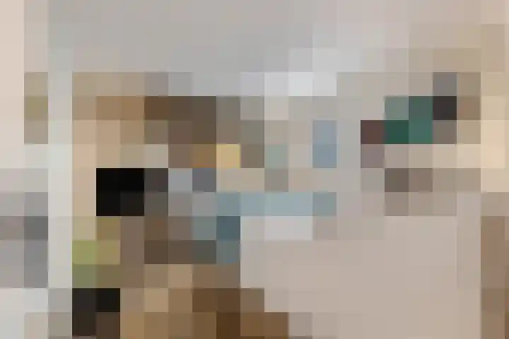 Rijnbandijk 111 51 Maurik thumbnail 13