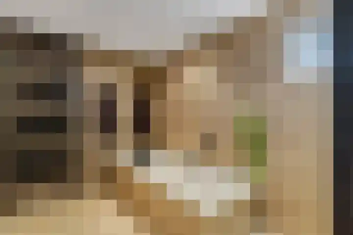 Rijnbandijk 111 51 Maurik thumbnail 16