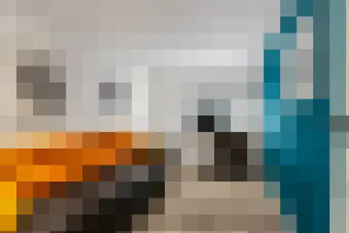 Rijnbandijk 111 51 Maurik thumbnail 19