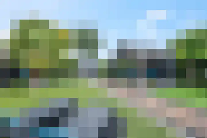 Rijnbandijk 111 51 Maurik thumbnail 22