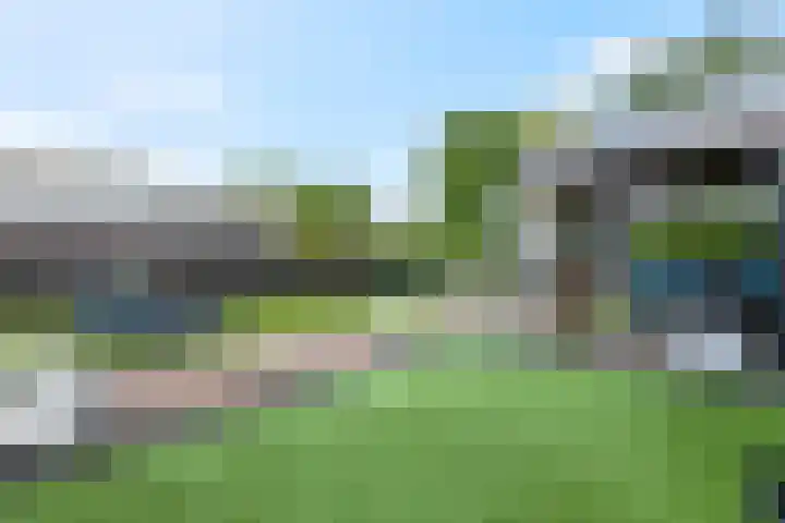 Rijnbandijk 111 51 Maurik thumbnail 23