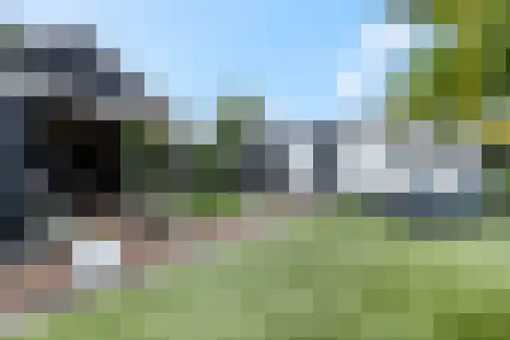 Rijnbandijk 111 51 Maurik thumbnail 24