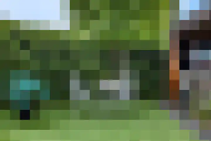 Rijnbandijk 111 51 Maurik thumbnail 26