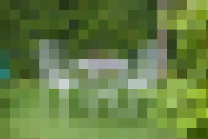 Rijnbandijk 111 51 Maurik thumbnail 28