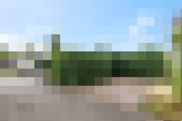Rijnbandijk 111 51 Maurik thumbnail 29
