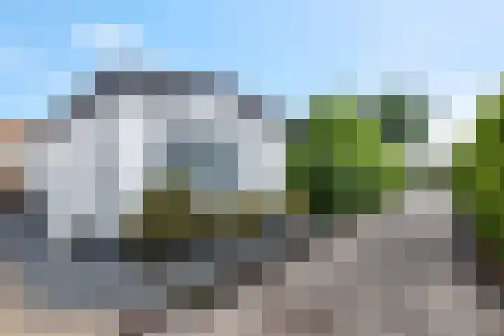 Rijnbandijk 111 51 Maurik thumbnail 30