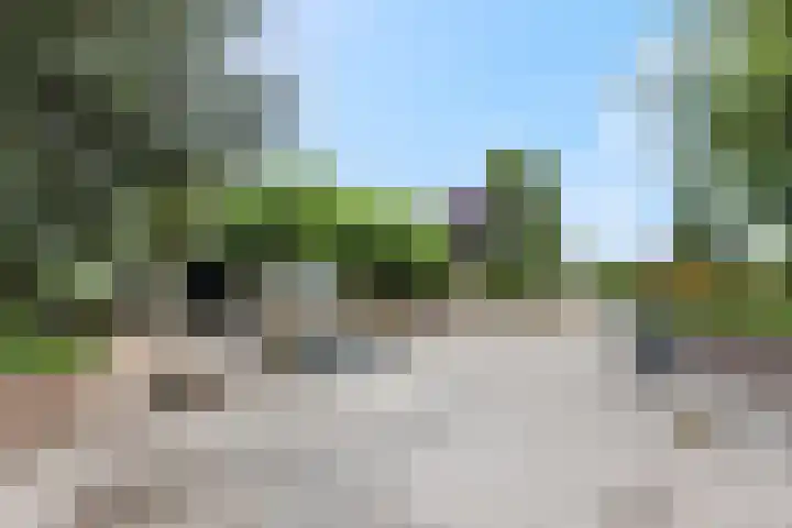 Rijnbandijk 111 51 Maurik thumbnail 32