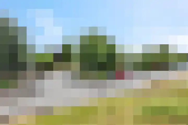 Rijnbandijk 111 51 Maurik thumbnail 33