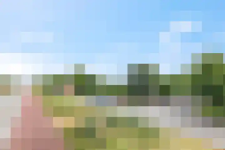 Rijnbandijk 111 51 Maurik thumbnail 34