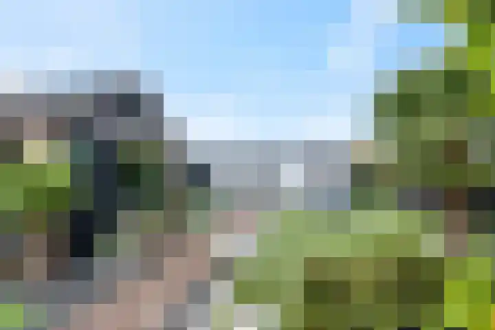 Rijnbandijk 111 51 Maurik thumbnail 4