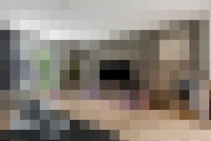 Rijnbandijk 111 51 Maurik thumbnail 9
