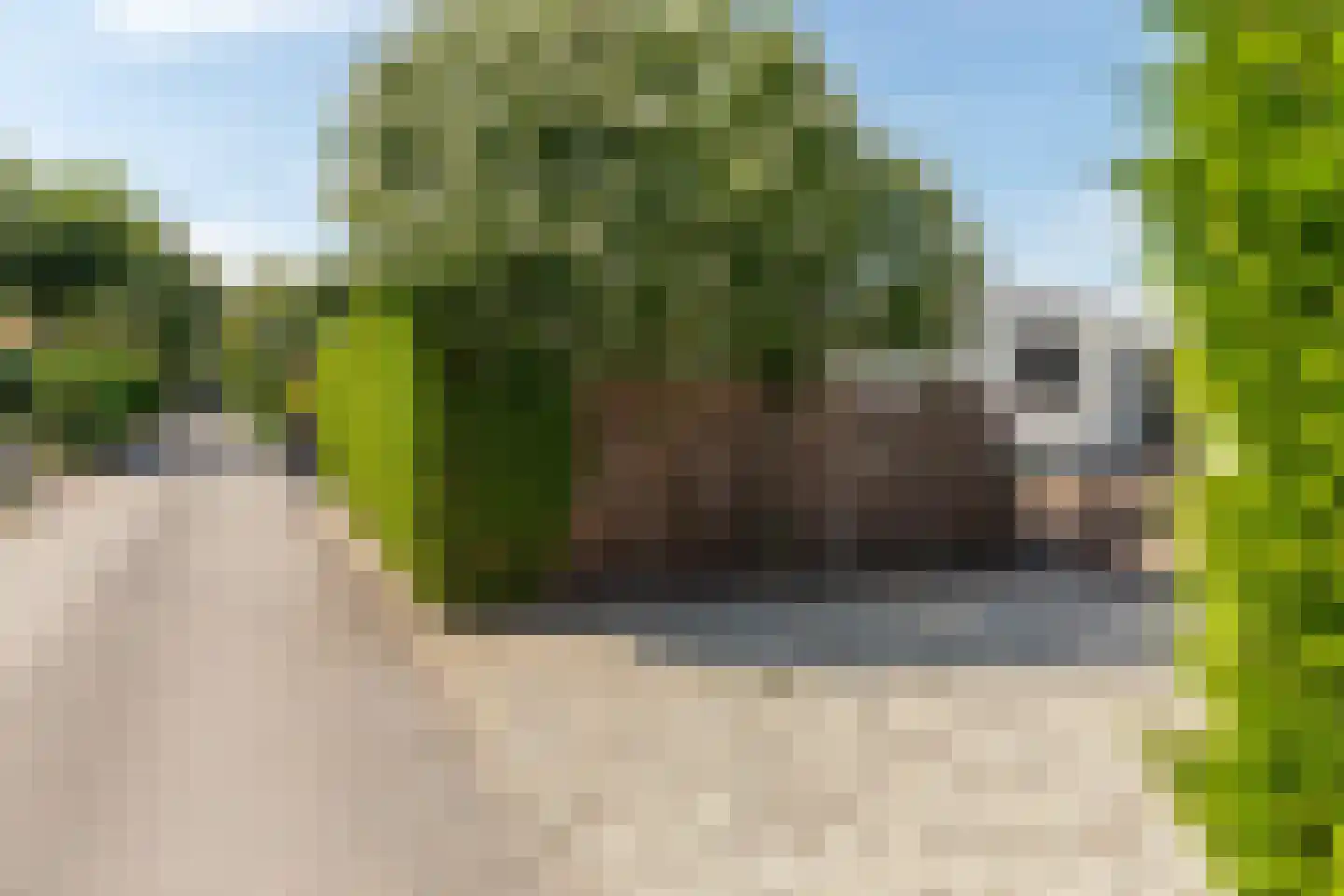 Rijnbandijk 111 56 Maurik thumbnail 25