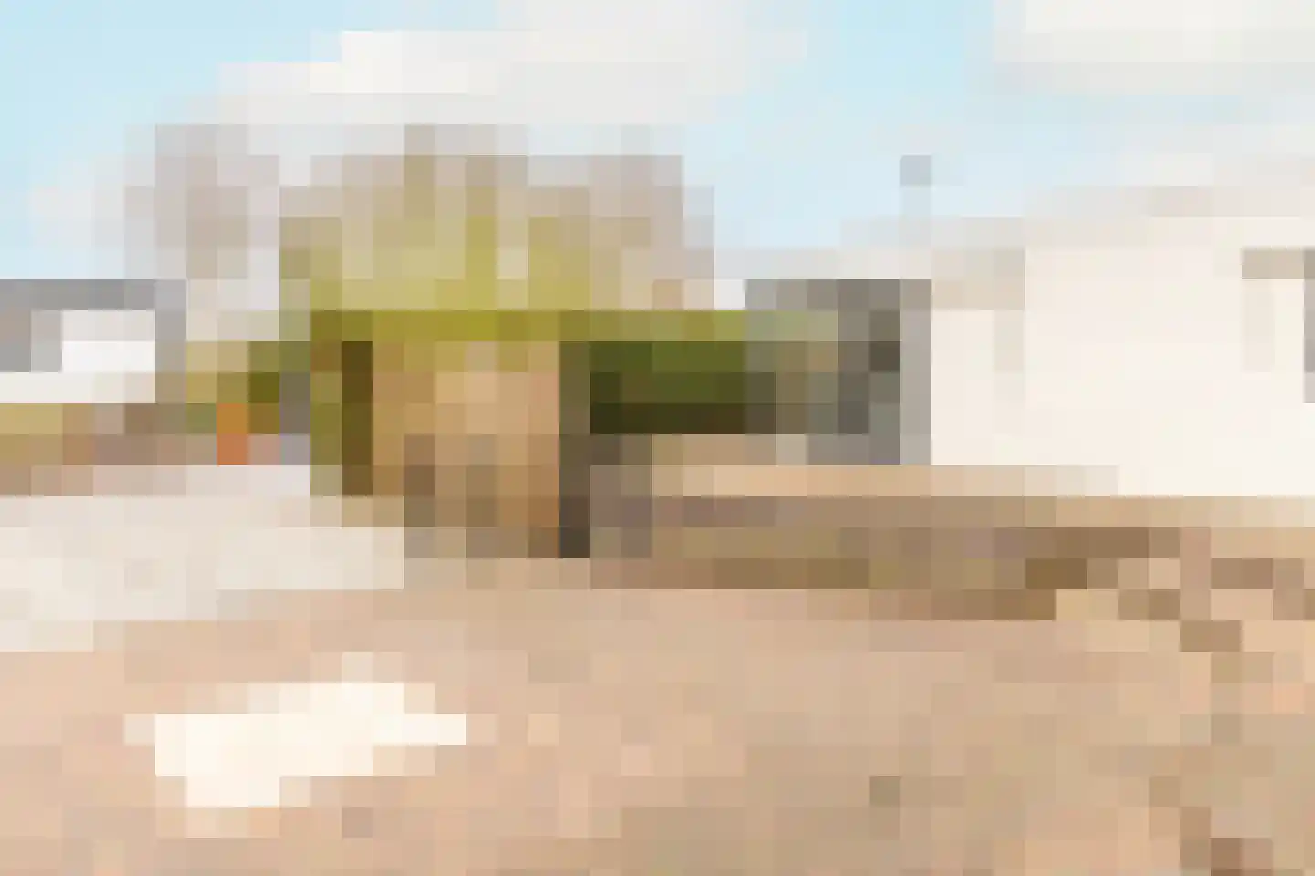 Rijnbandijk 111 56 Maurik thumbnail 27