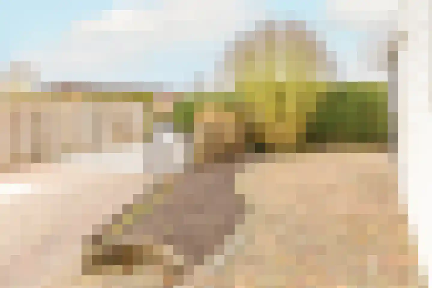 Rijnbandijk 111 56 Maurik thumbnail 28