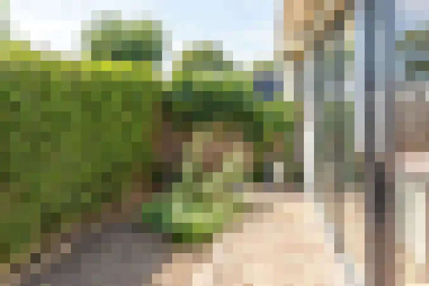 Rijnbandijk 111 56 Maurik thumbnail 30